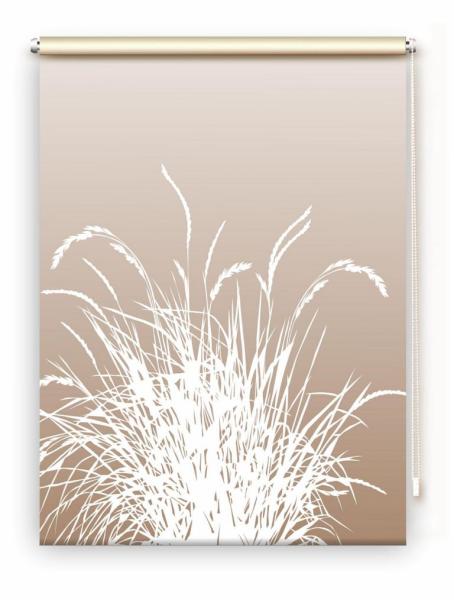 Rollo Reed24 Cappuccino dark, Rollo, Motivrollo, Rollo mit Druck, Fotorollo, bedrucktes Rollo, Fensterrollo,verdunkelndes Rollo, Sonnenschutz Rollo